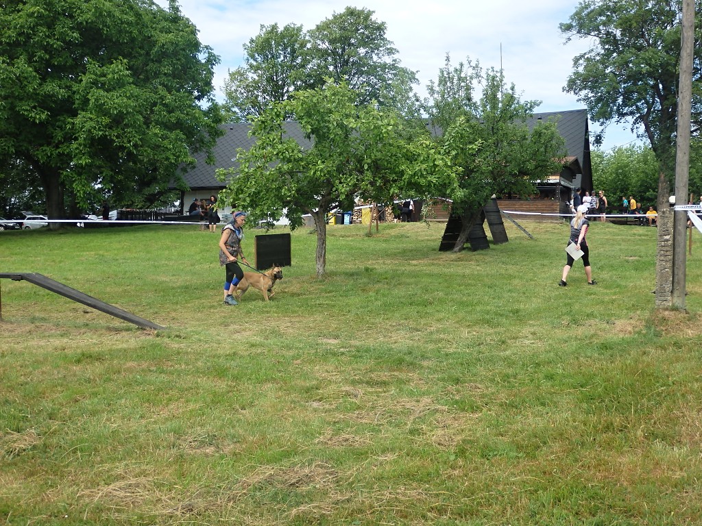 P7053480