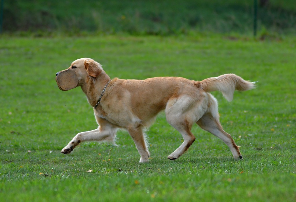 DSC_0207_edited