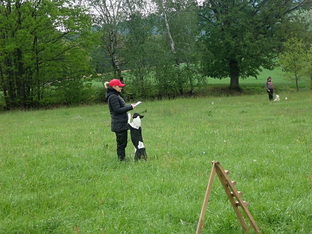 P5084011