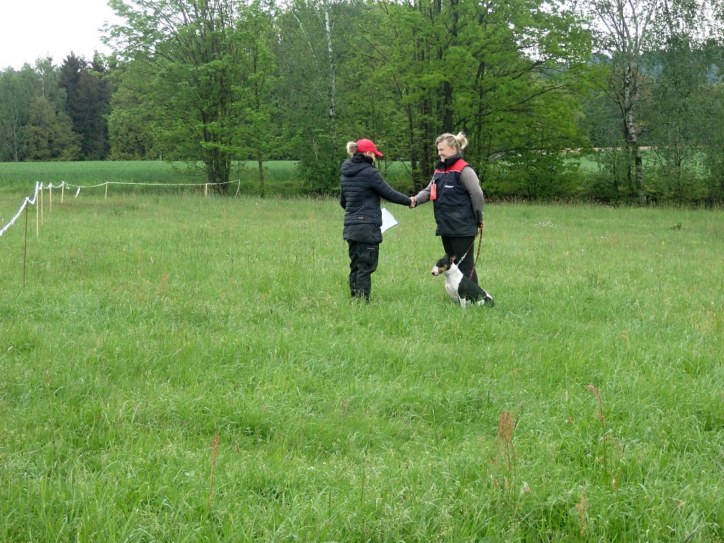 P5084029
