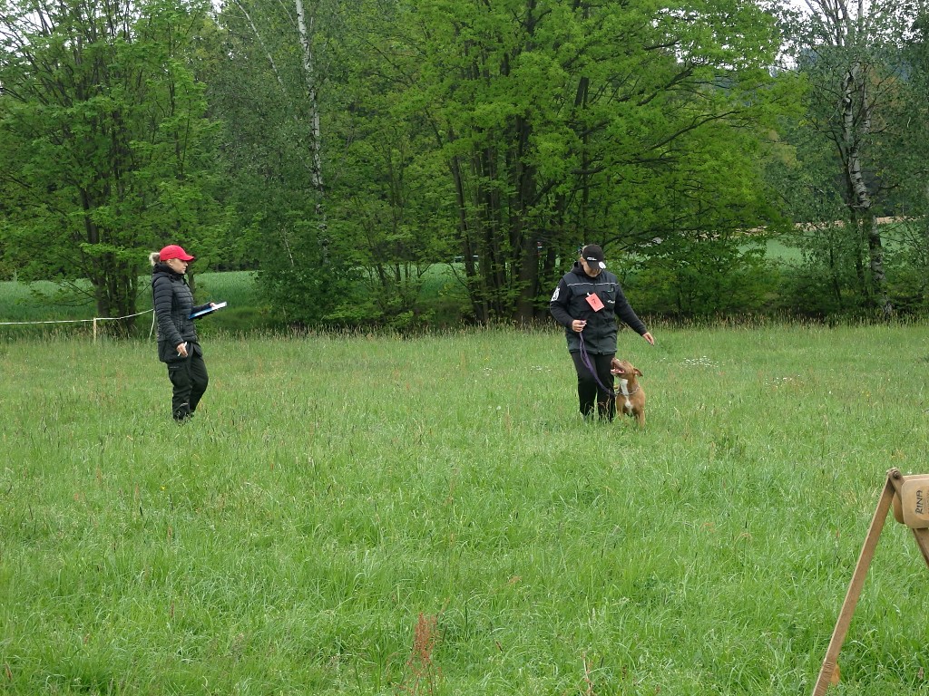 P5084054