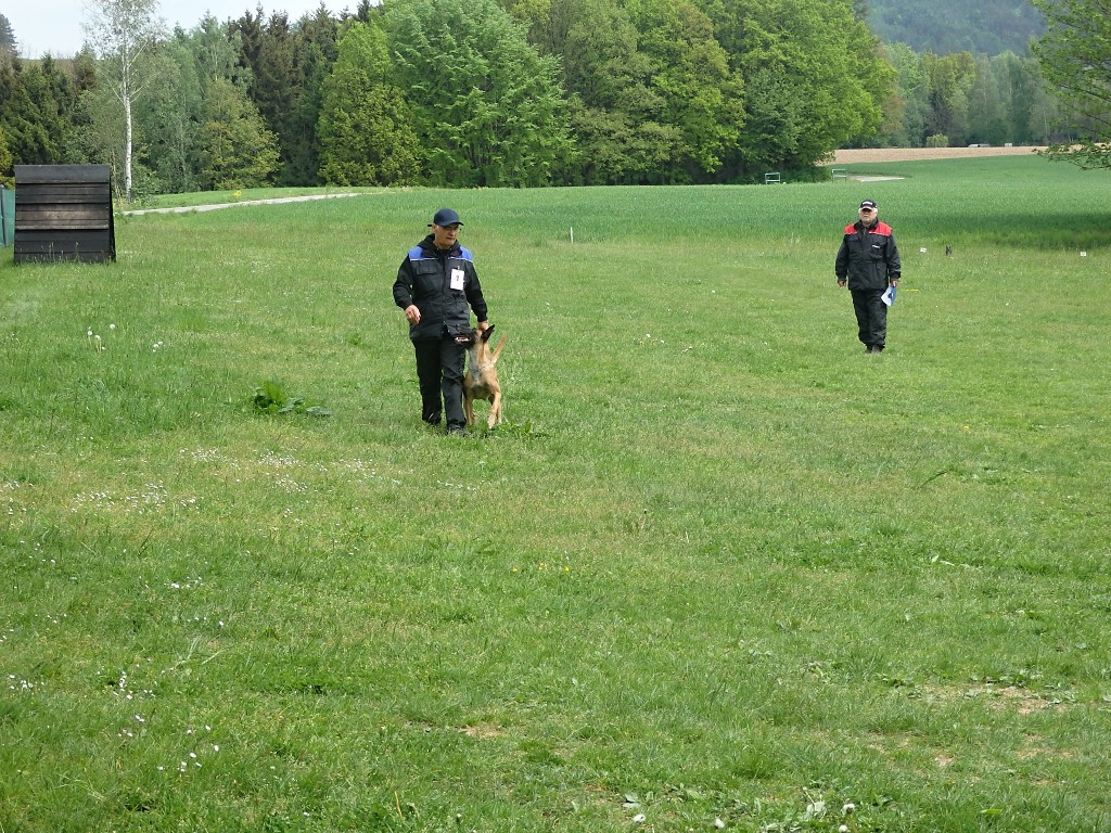 P5084187