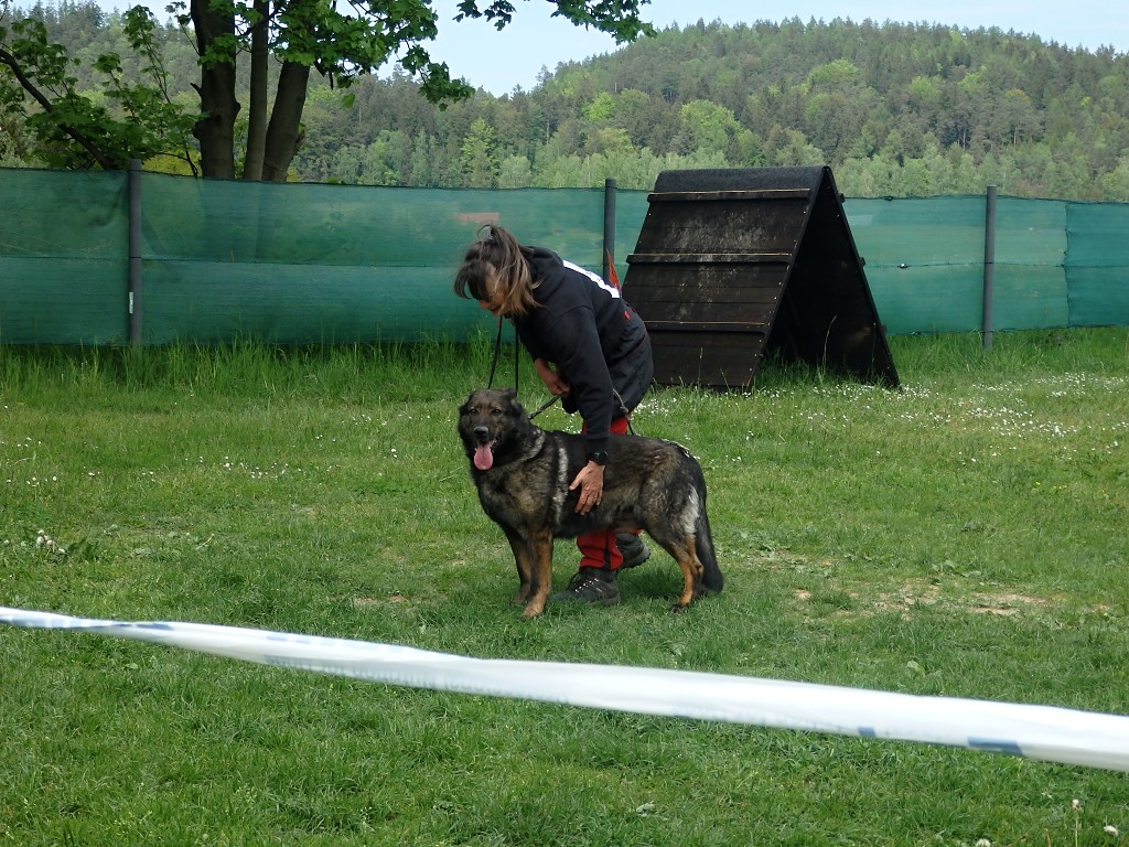 P5084208