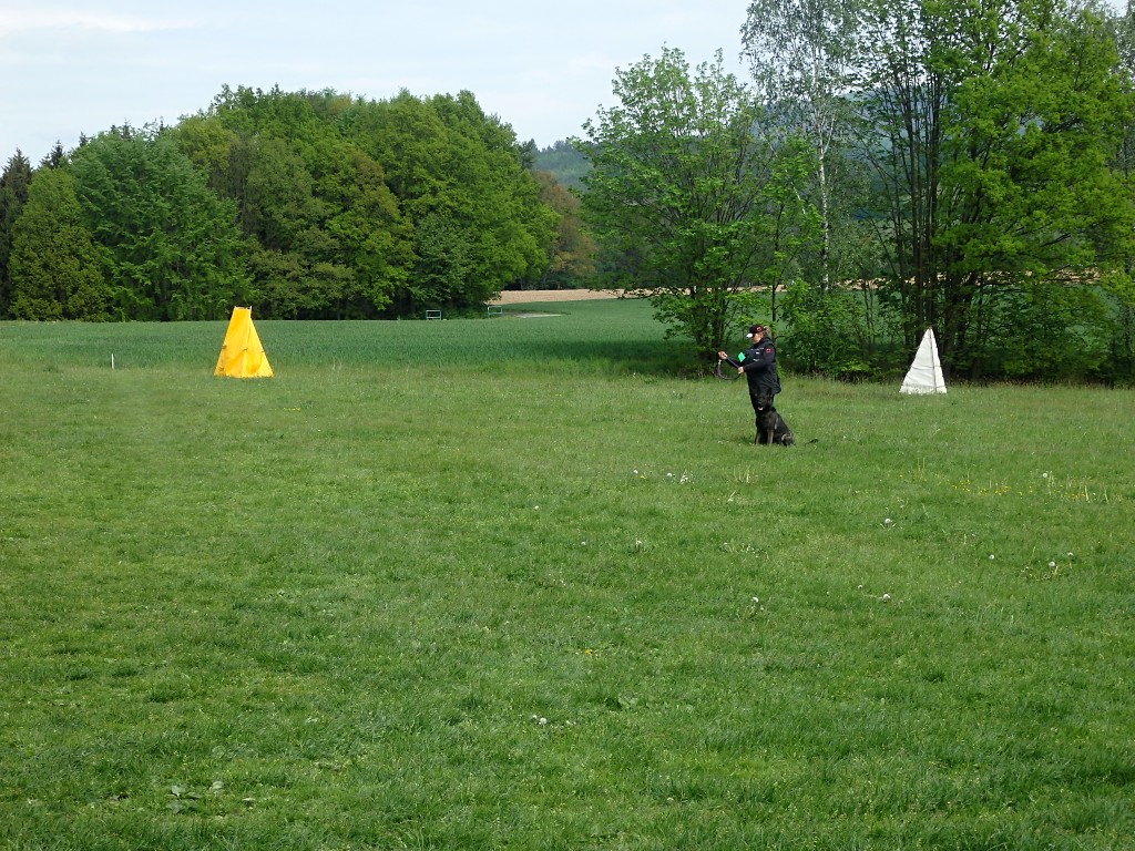 P5084218