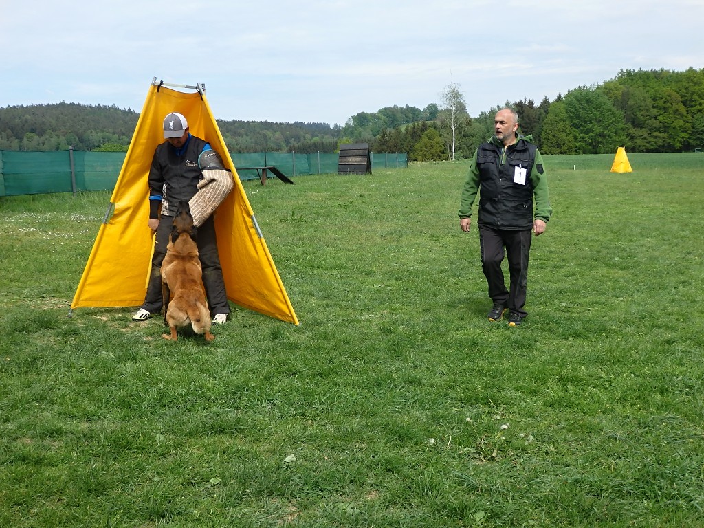P5084233