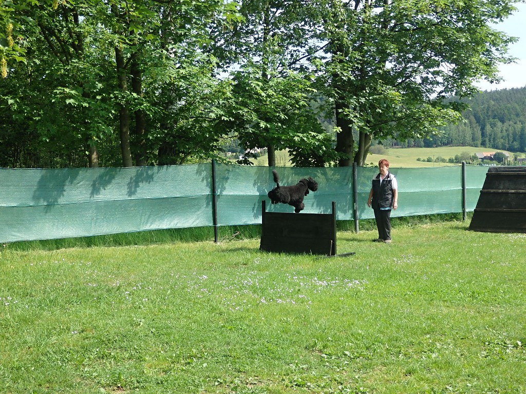 P5264289