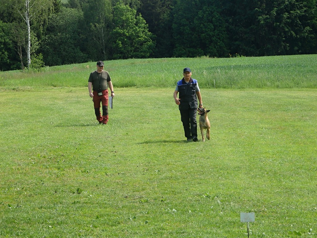 P5264325