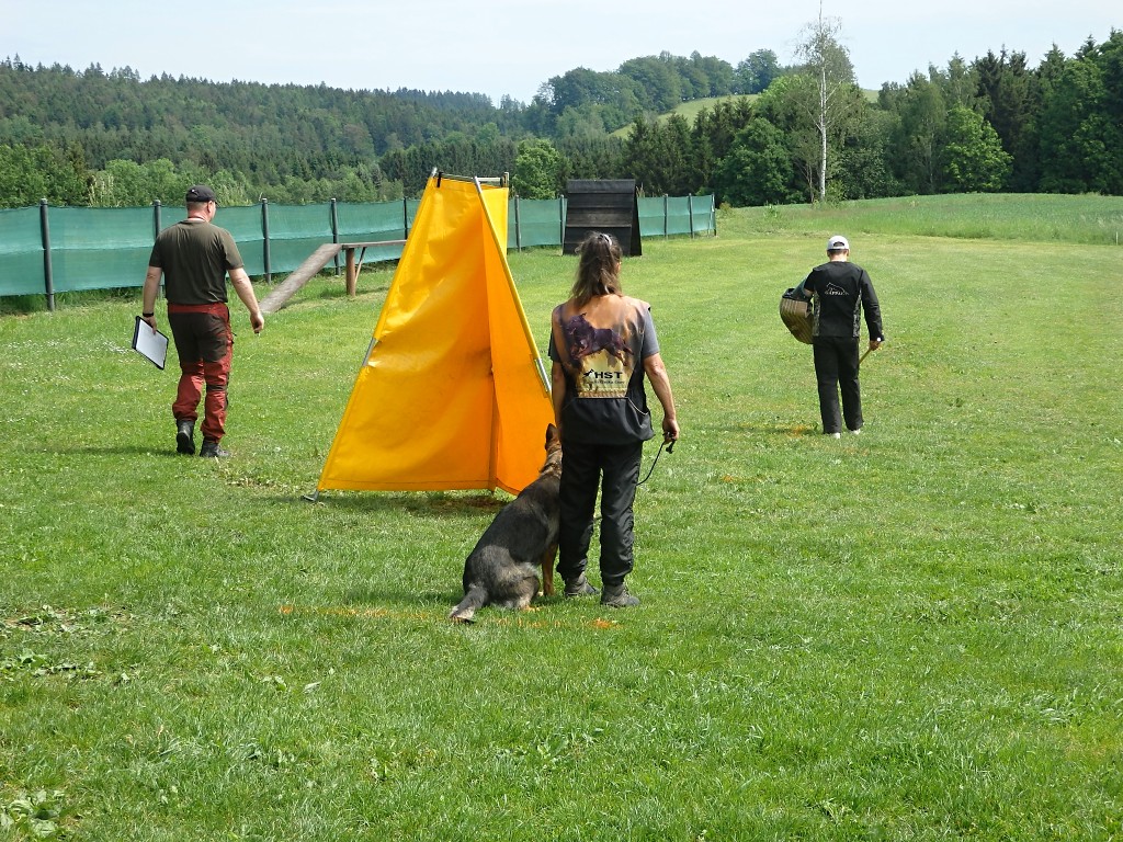 P5264352