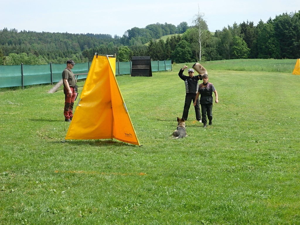 P5264354