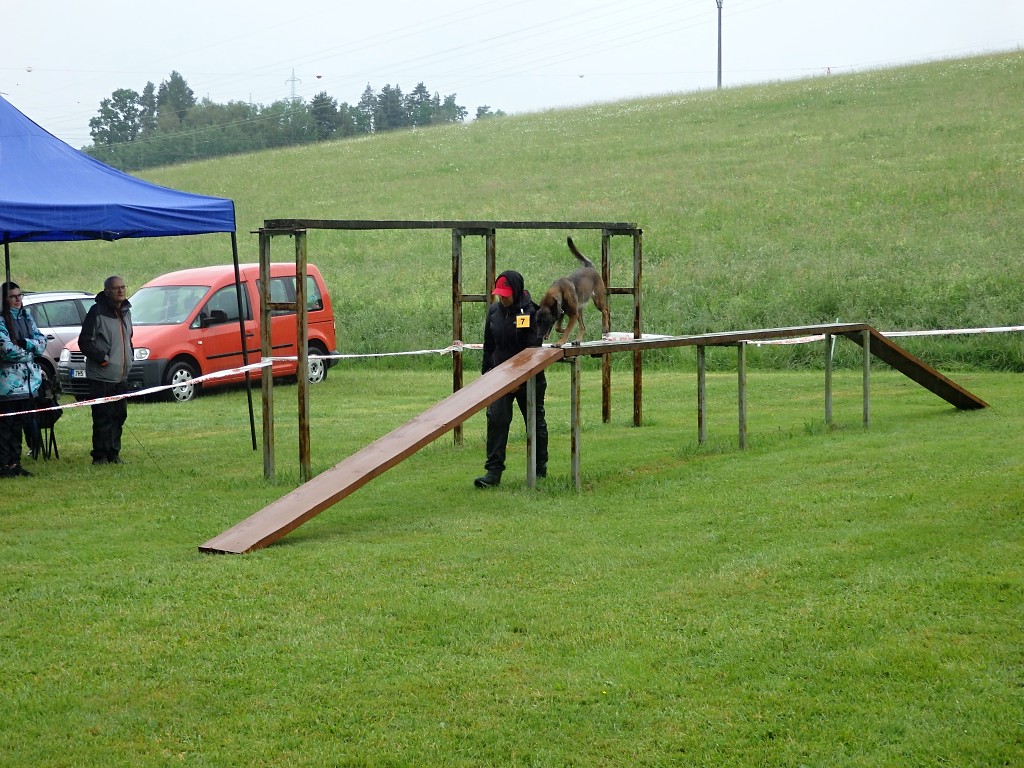 P6014385
