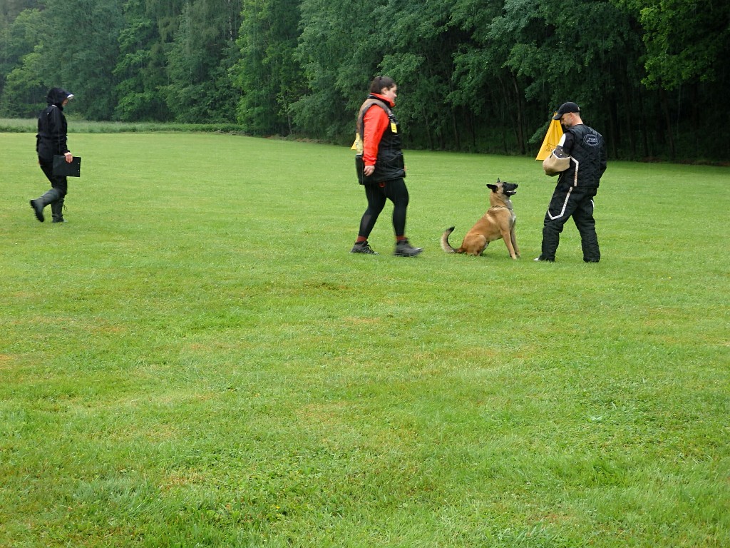 P6014401