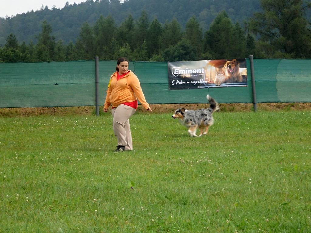 P7054532