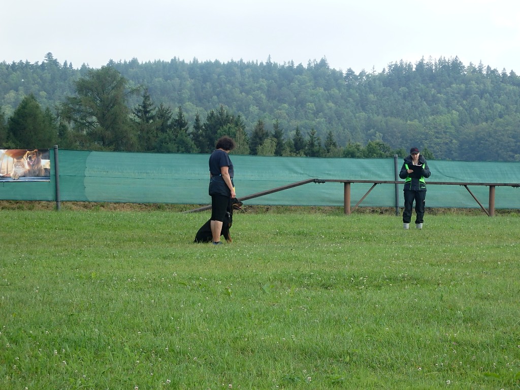 P7054613