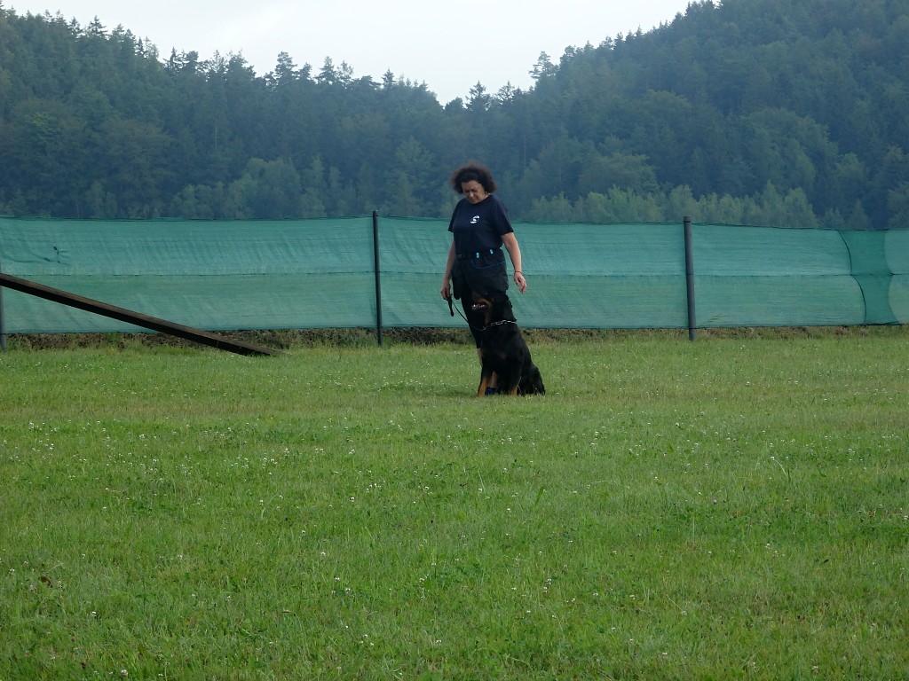 P7054619