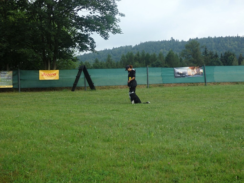 P7054629