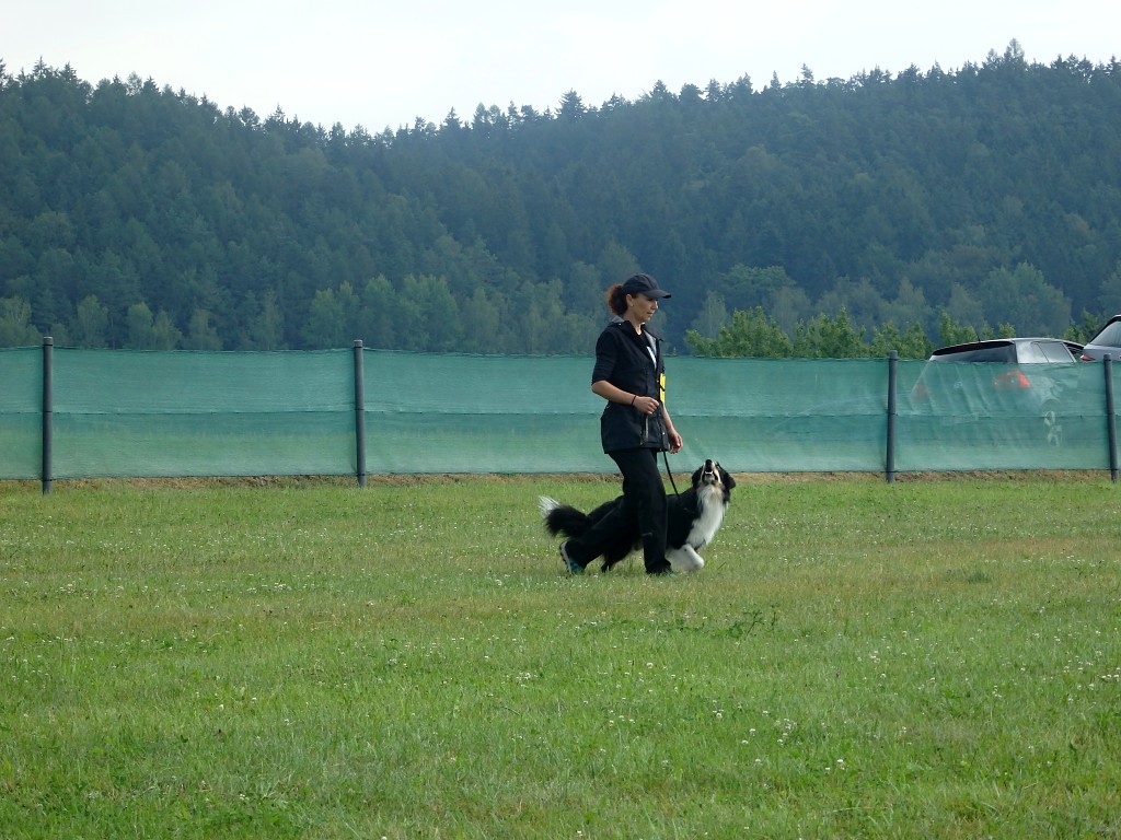 P7054632