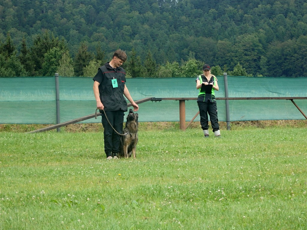 P7054679