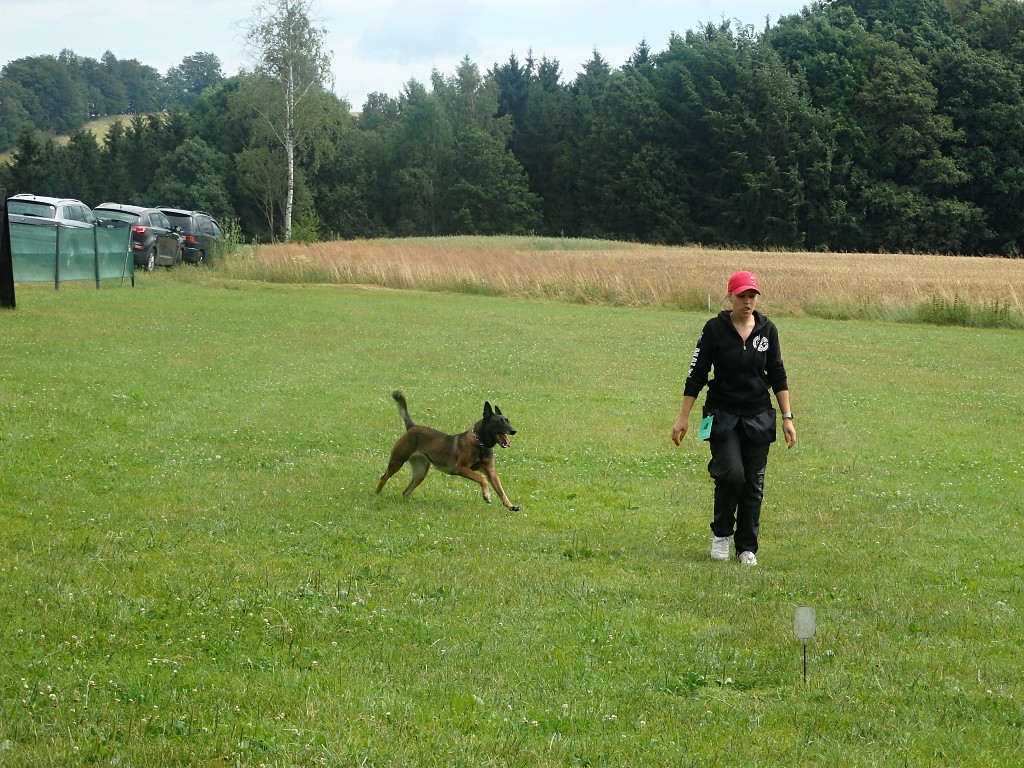 P7054719