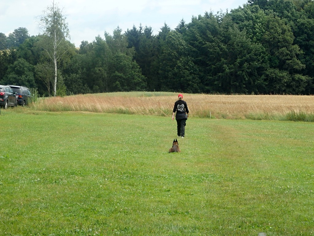 P7054724