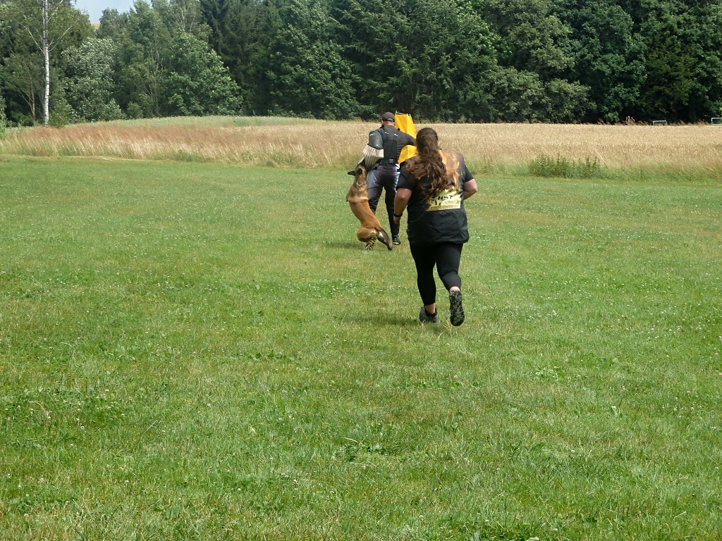 P7054767