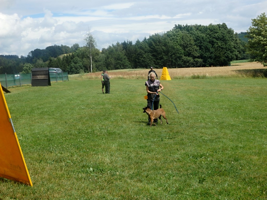 P7054780