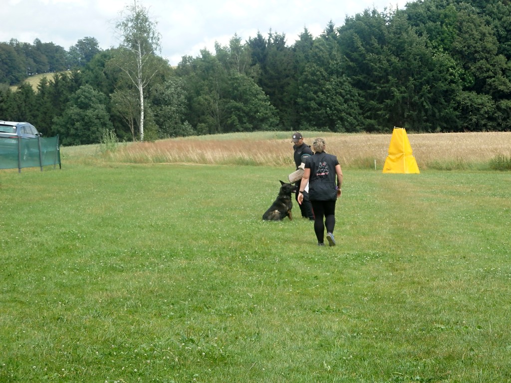 P7054796