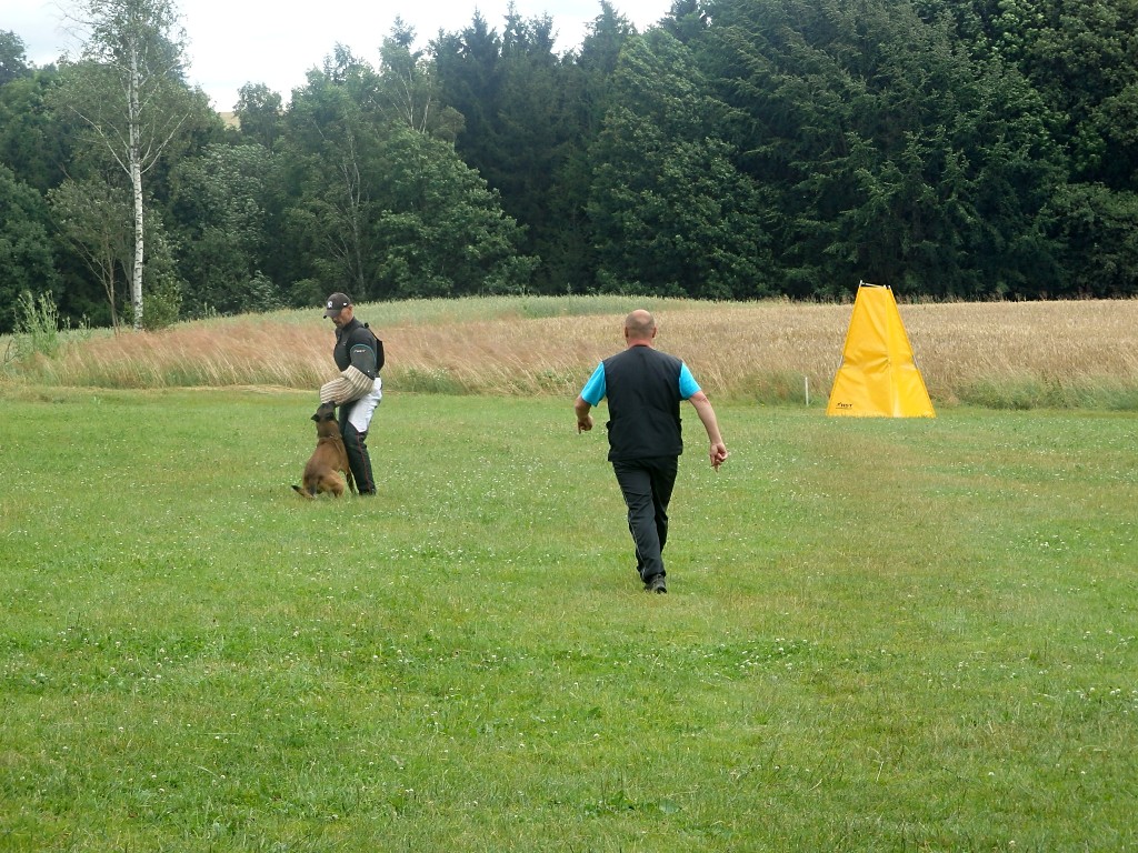 P7054805
