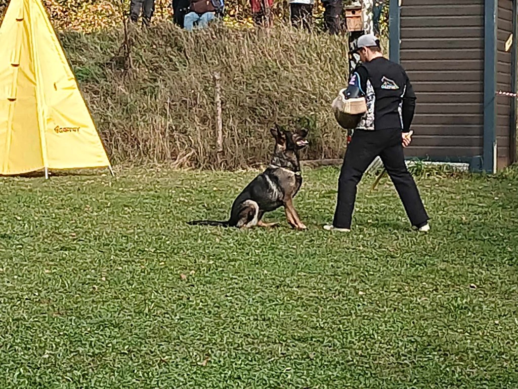462536987_945117620789068_2864072375795201653_n