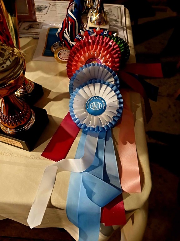 473522403_984611226921543_1981773558504172888_n