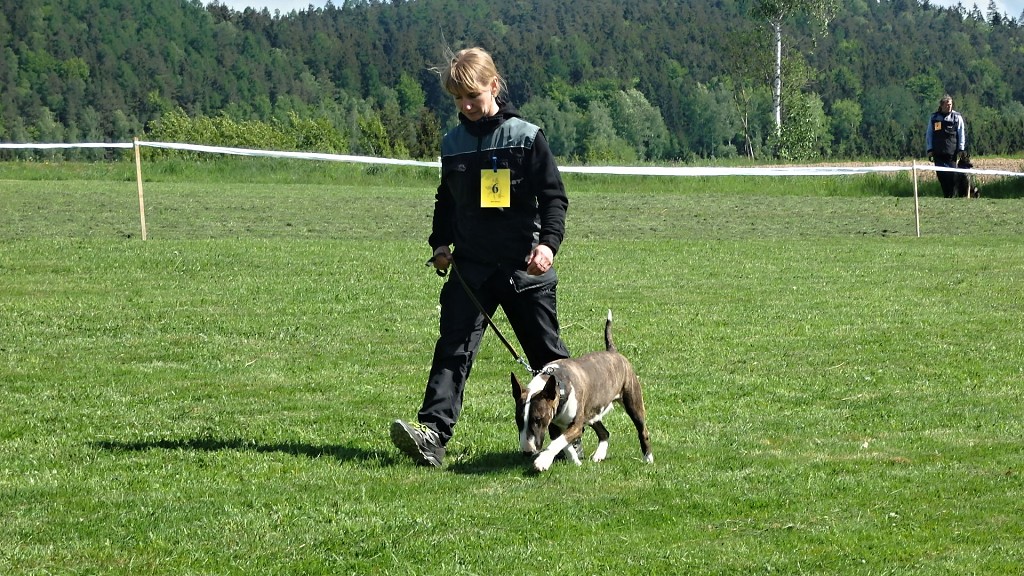 P1015018