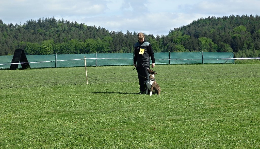 P1015020