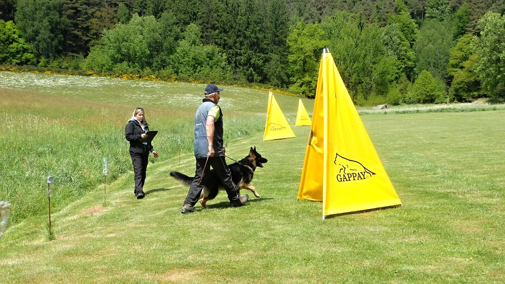 P1015369
