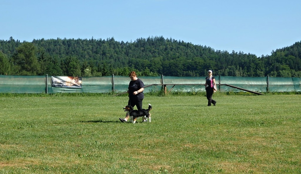 P1015480