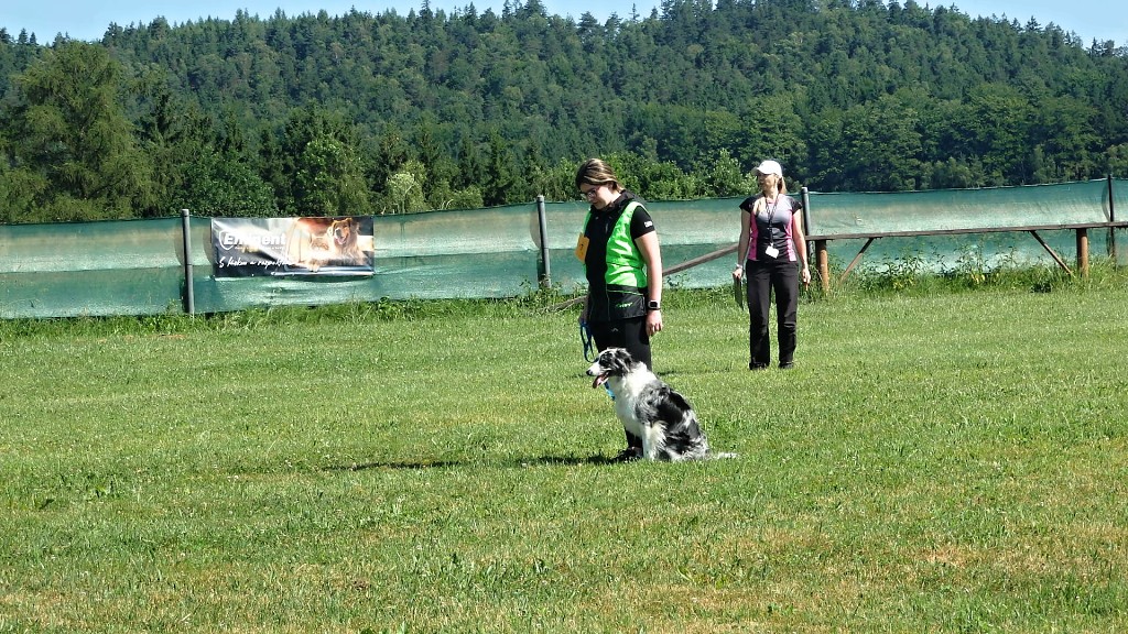 P1015503
