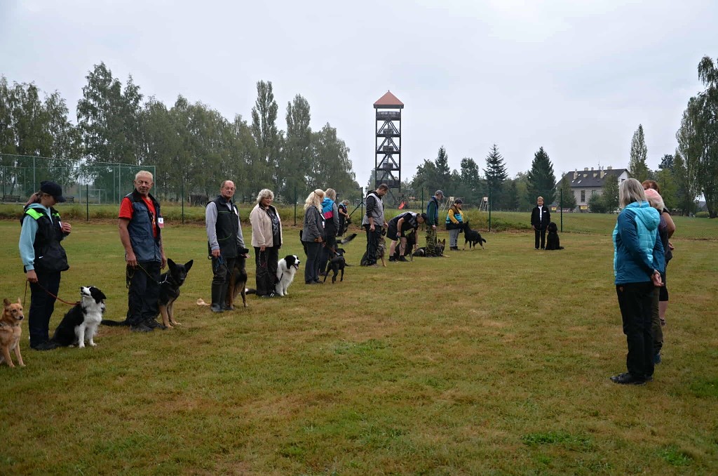 545416262_3787238331575171_3594775349095225612_n