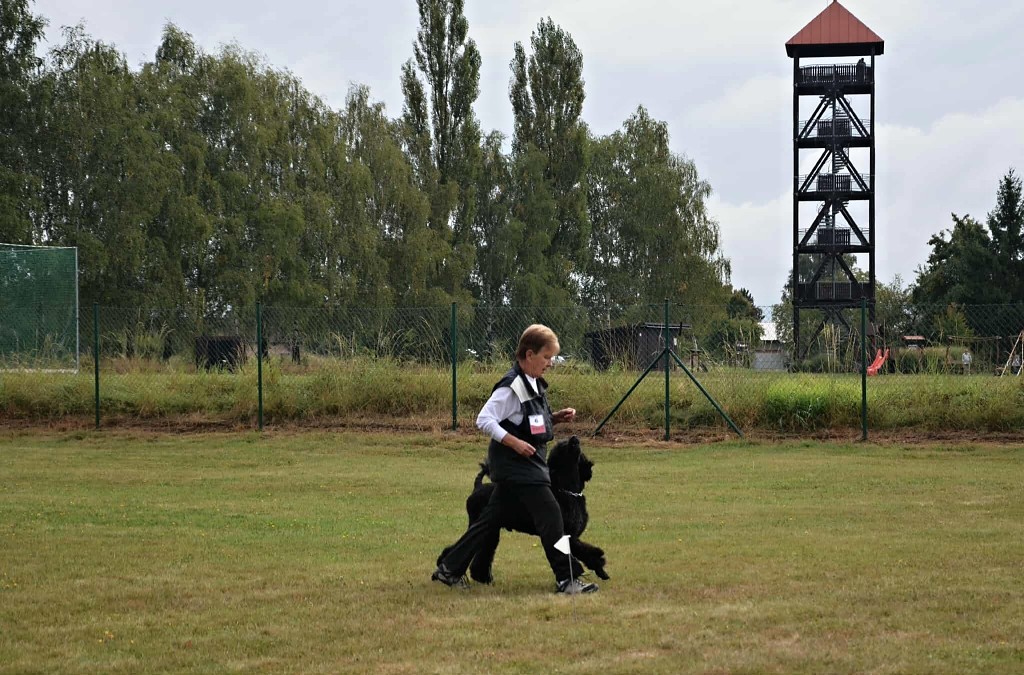 545582594_2605851223101808_5592720749984669055_n