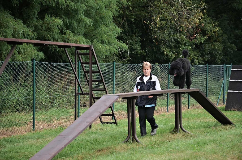 546512331_1308656693972806_504542280684109513_n