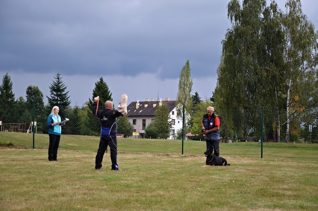 545614444_1237616591501395_6265612683504456516_n