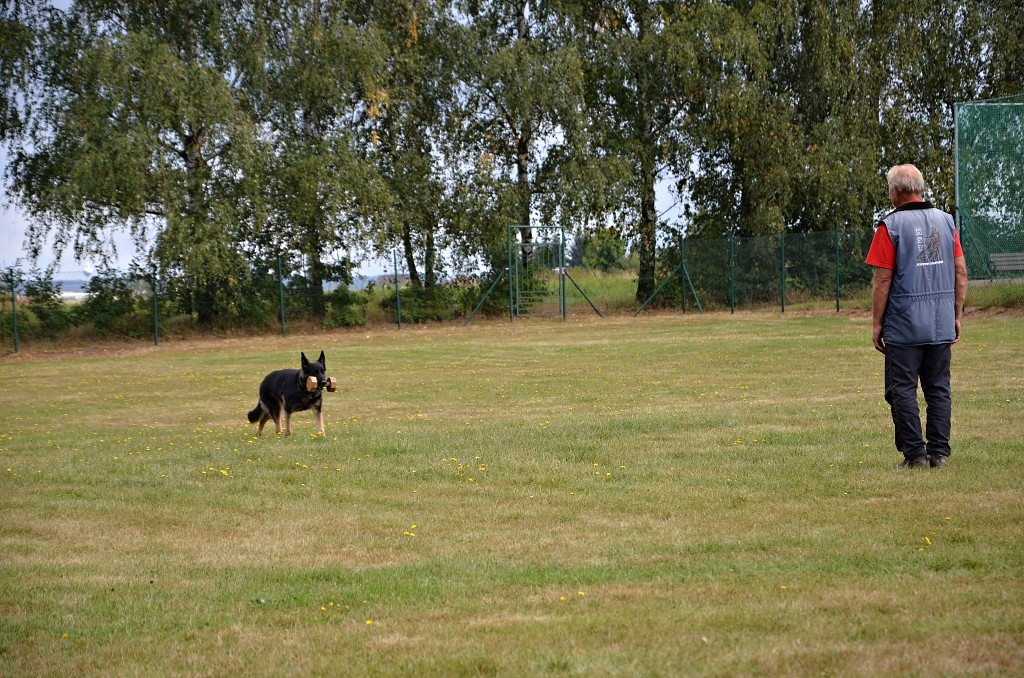 546468339_1237591801503874_1399478637640917734_n