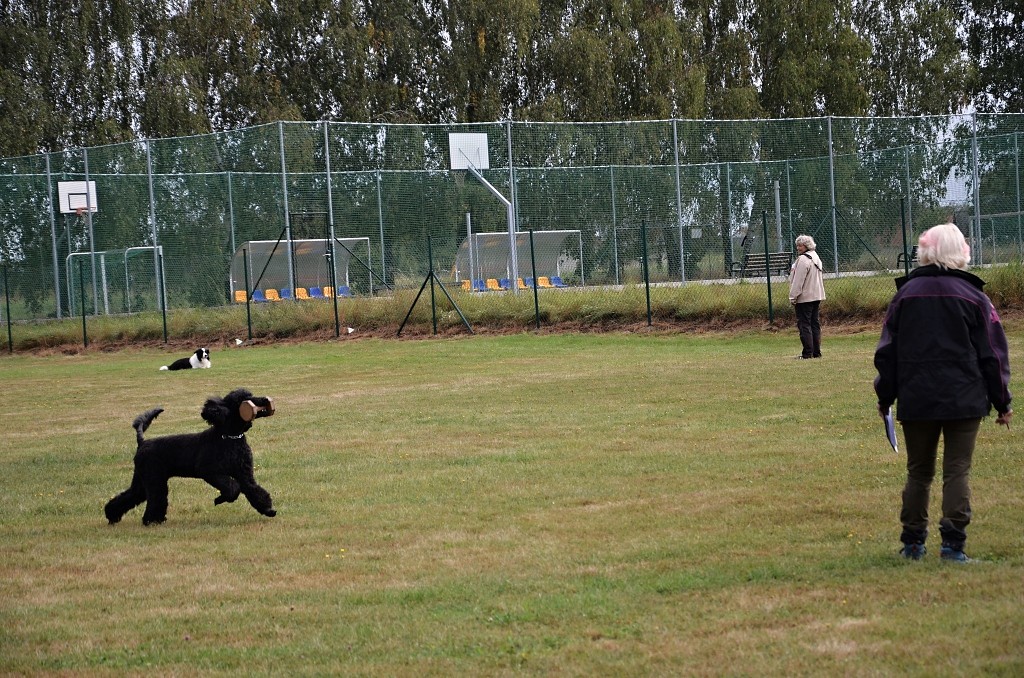 545244976_1237588998170821_8374172573846031114_n