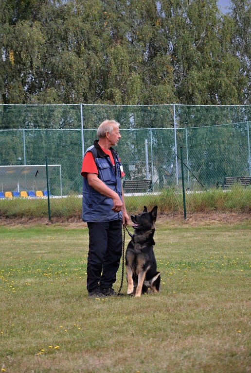 545134147_1237616454834742_7944982132985302254_n