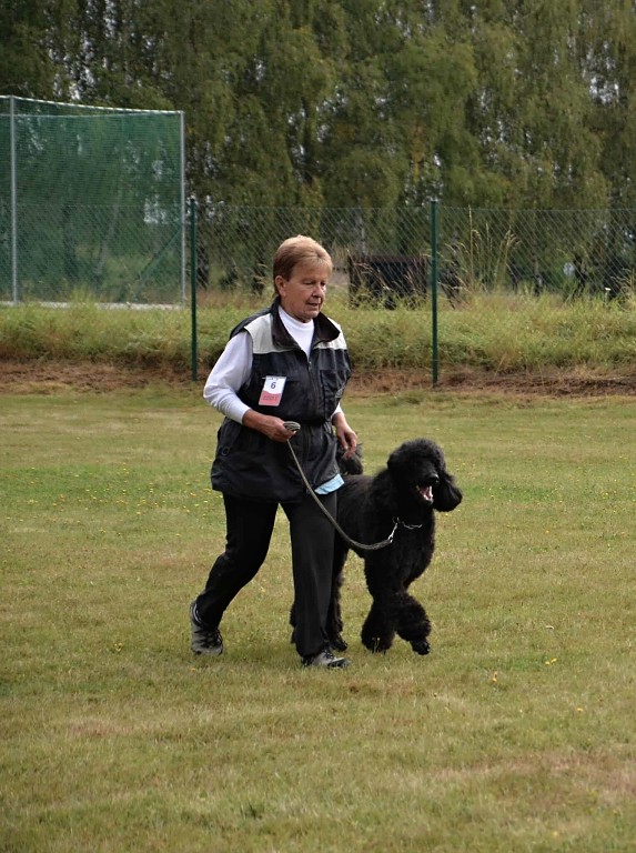 545251828_629758473540165_446323331175018322_n