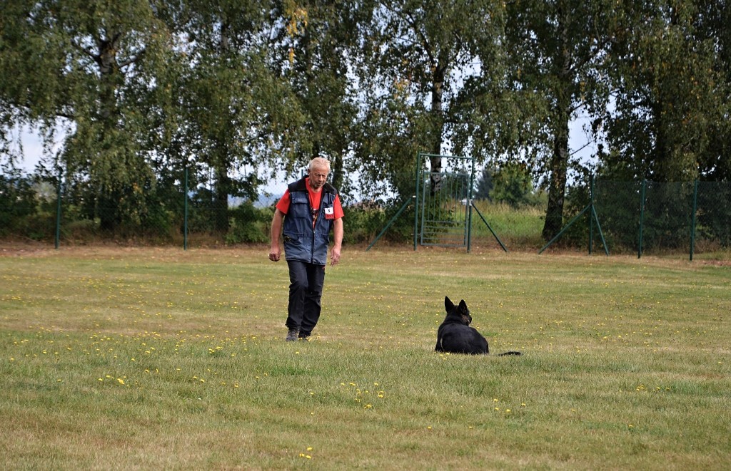 546224127_1237591754837212_1516111600800403863_n