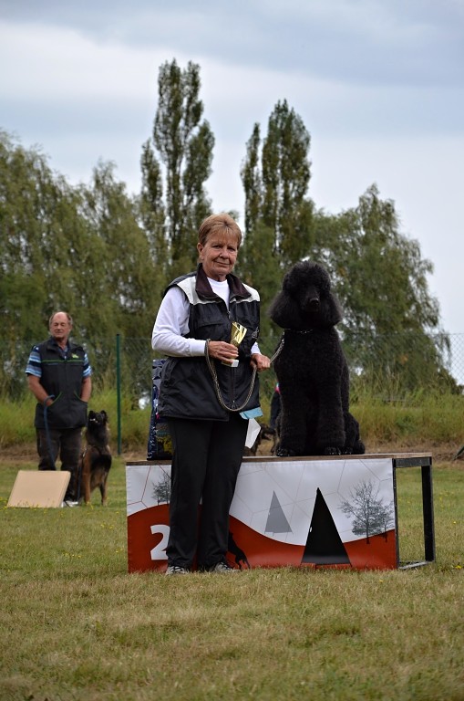 545563402_1237614478168273_1123472941926514028_n