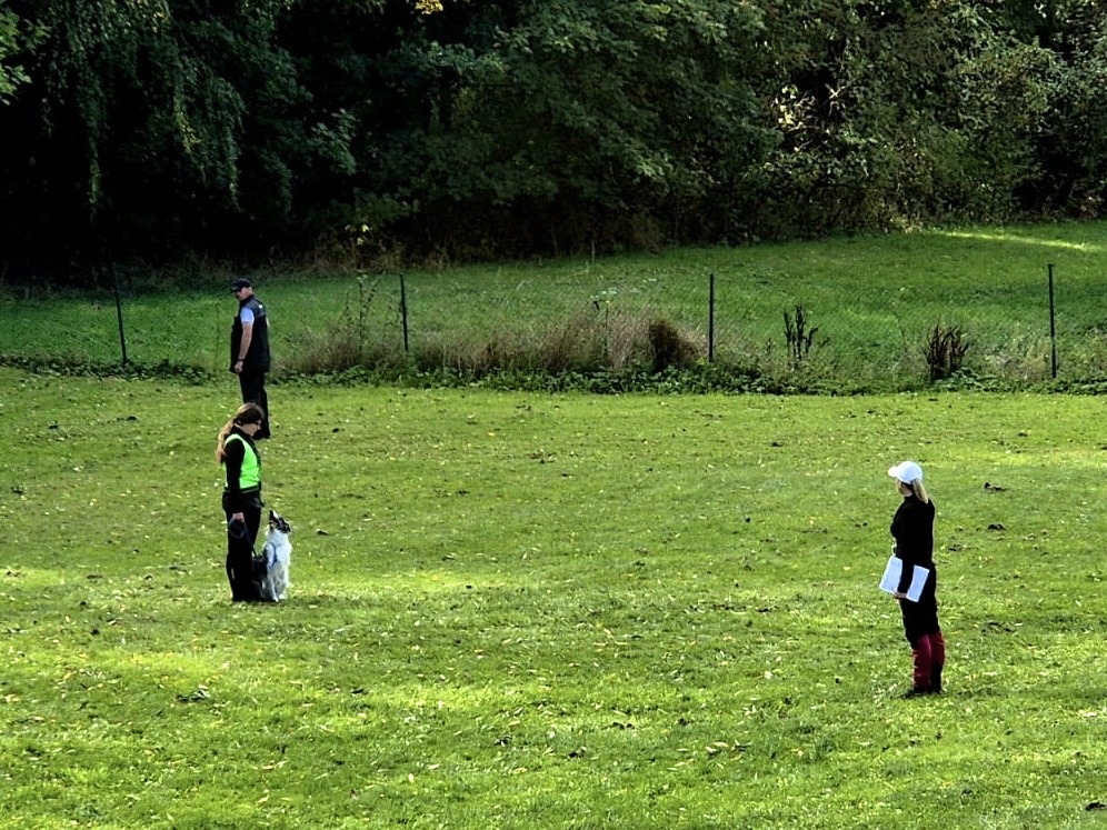 0b7c35b0-fd12-44b9-bba3-2f77bd4f91aa