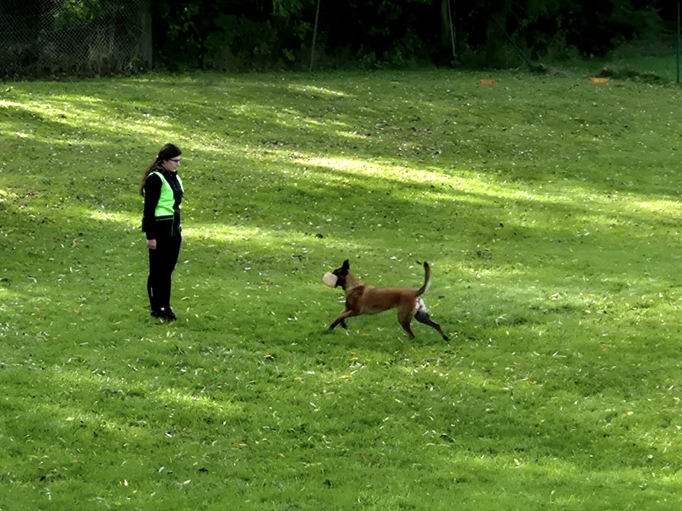 8ffaf46f-67cf-44d2-8fcd-7ce49a483788