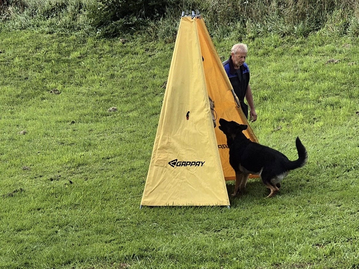 500c1880-4d61-4615-bd04-158f6bbf6188