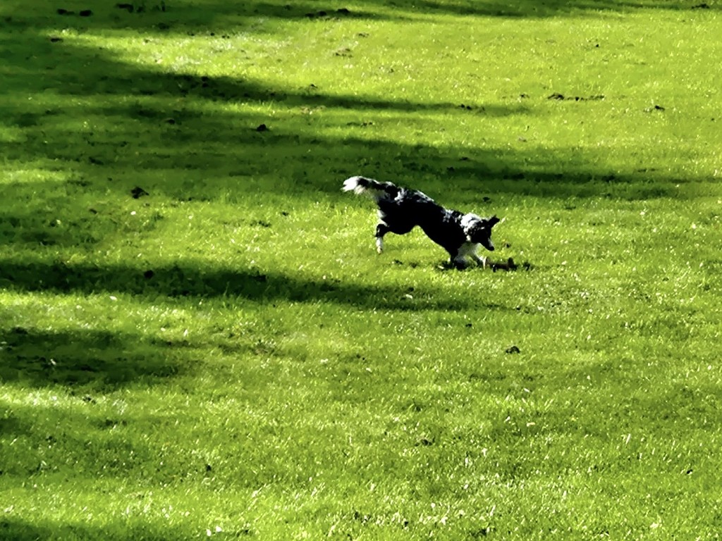 53623c4a-3f3b-4ca6-8f7e-3b5bdf2a8b7b