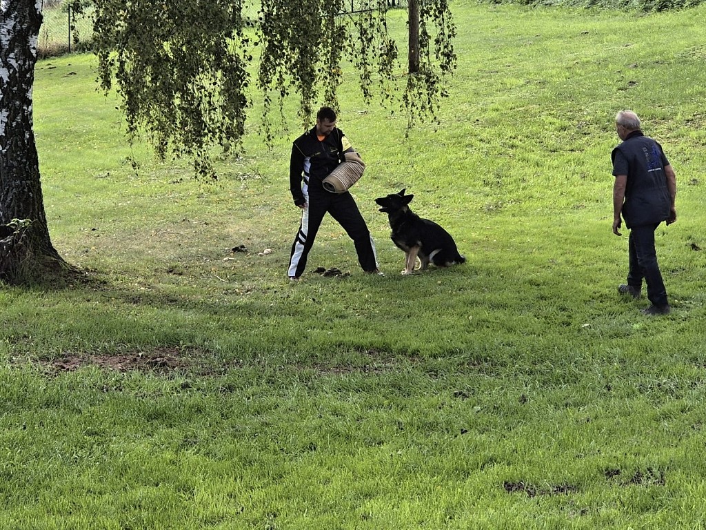 b0e7a3f9-46c4-4f88-8e6b-5d0d3e3ee8cf