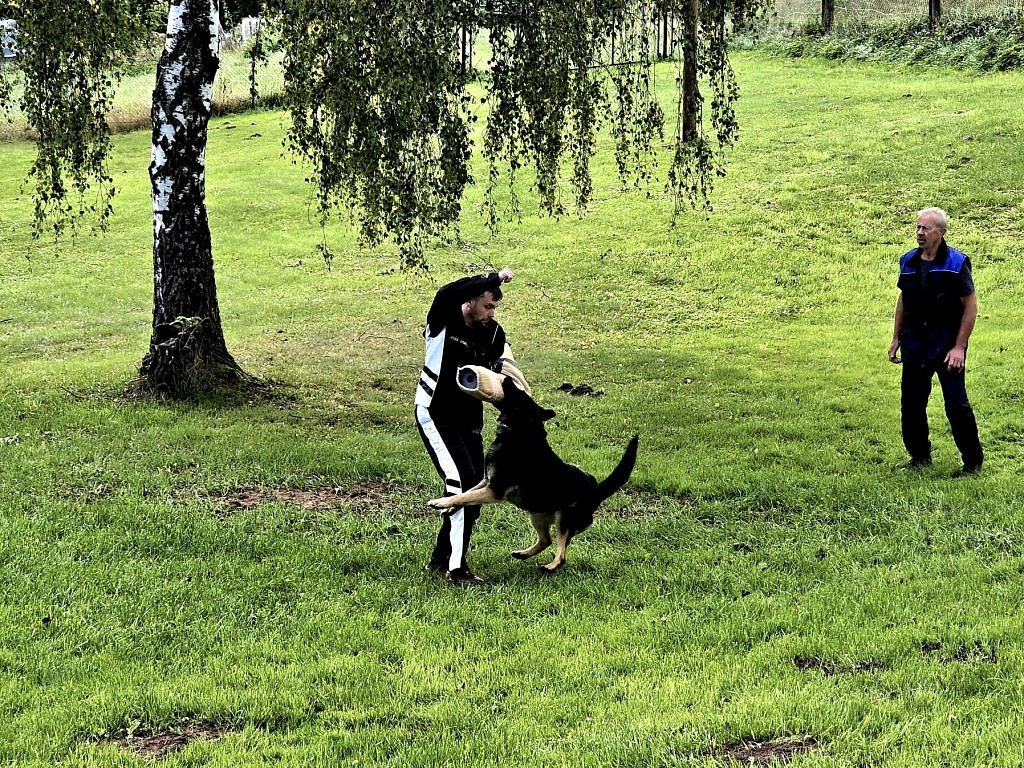 d31cb40c-37fb-4e02-a85b-3148c89c8592